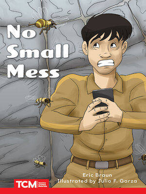 cover image of No Small Mess